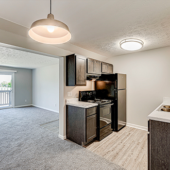 kitchen with dark cabinets
